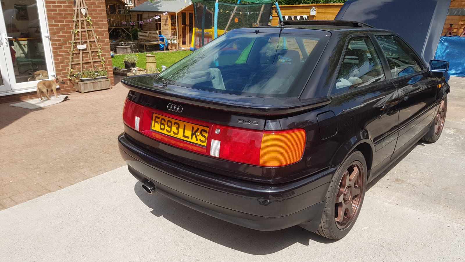 Wolf Race Alloys