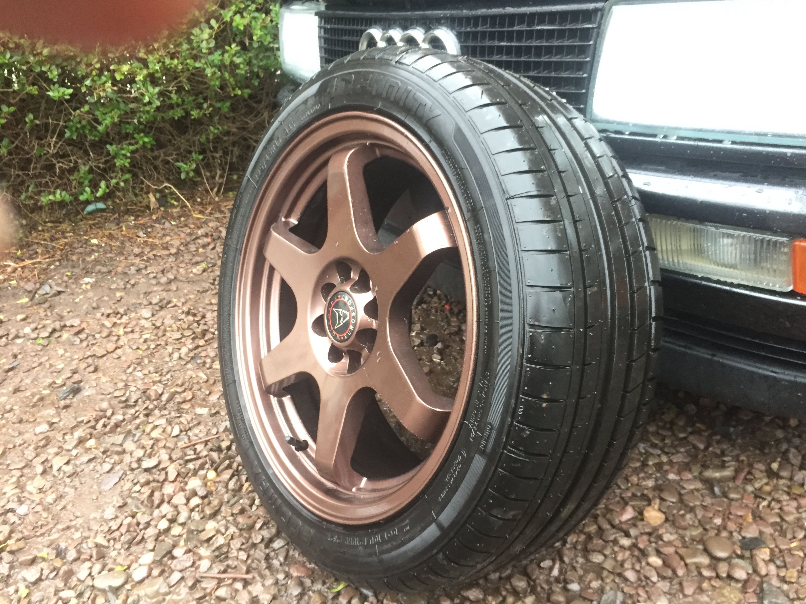 Wolf Race Alloys